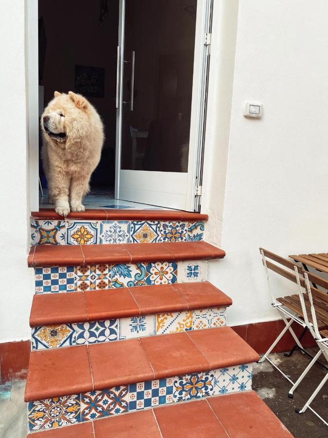 Casa Vacanza Le Tre Sorelle วิเอตริ ภายนอก รูปภาพ